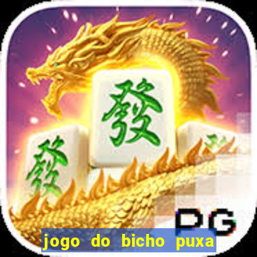 jogo do bicho puxa de dona maria